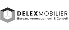 DelexMobilier Logo Delex Mobilier